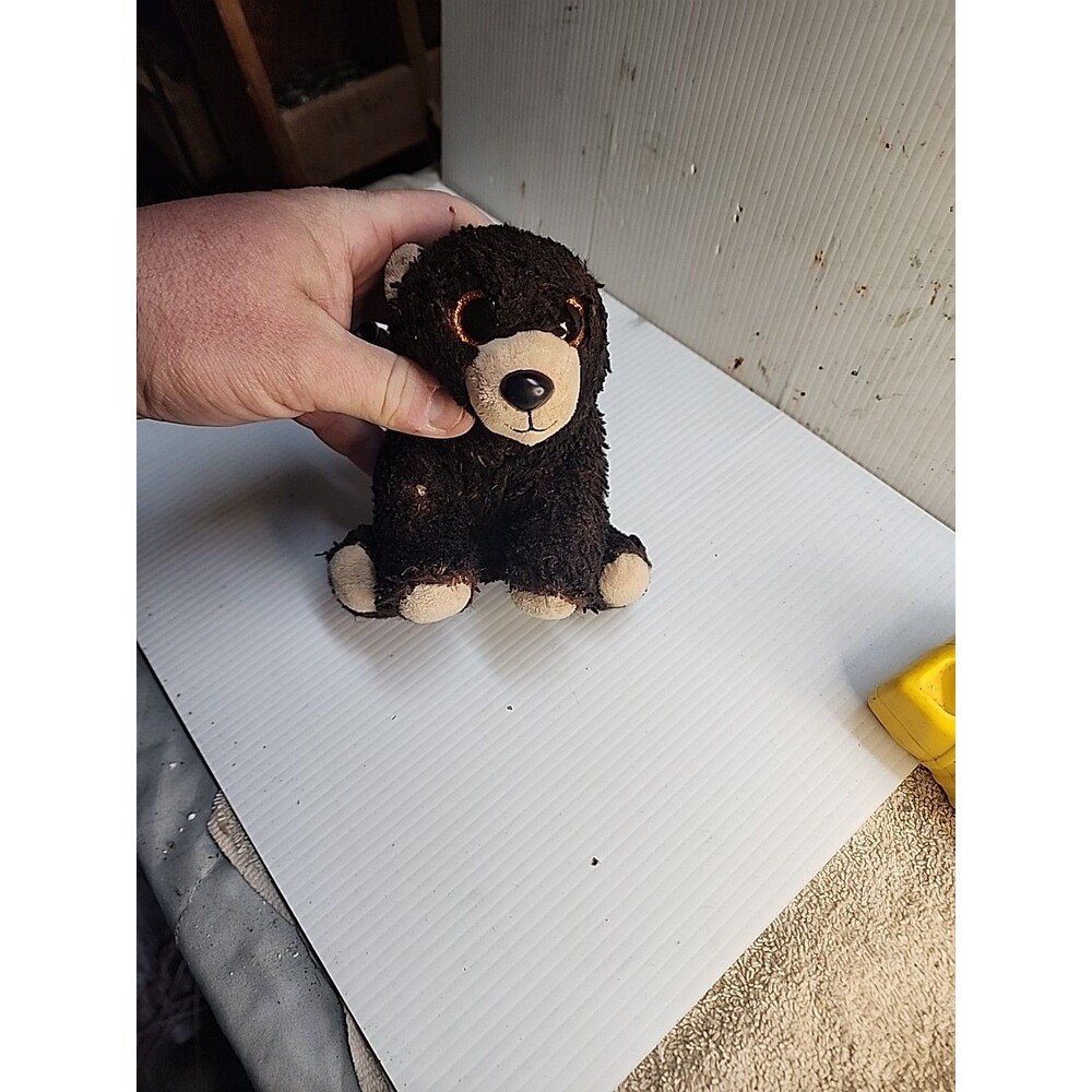 Ty Beanie Babies Boos Kodi The Black And Brown Bear Plush Stuffed Toy 7" 2021 - Picture 4 of 6